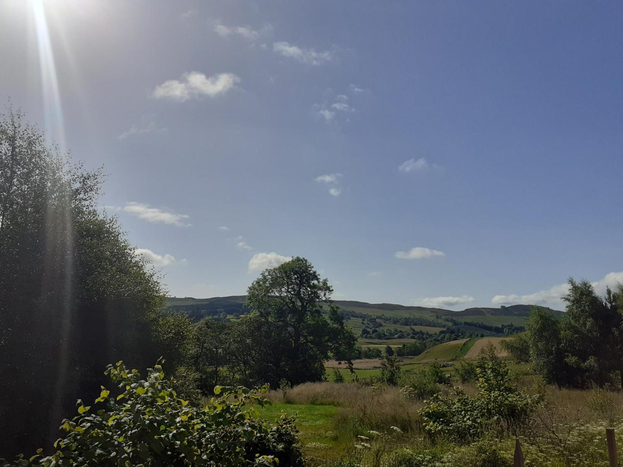 Dalnoid Cottages & Treehouses Nr Glenshee Zewnętrze zdjęcie