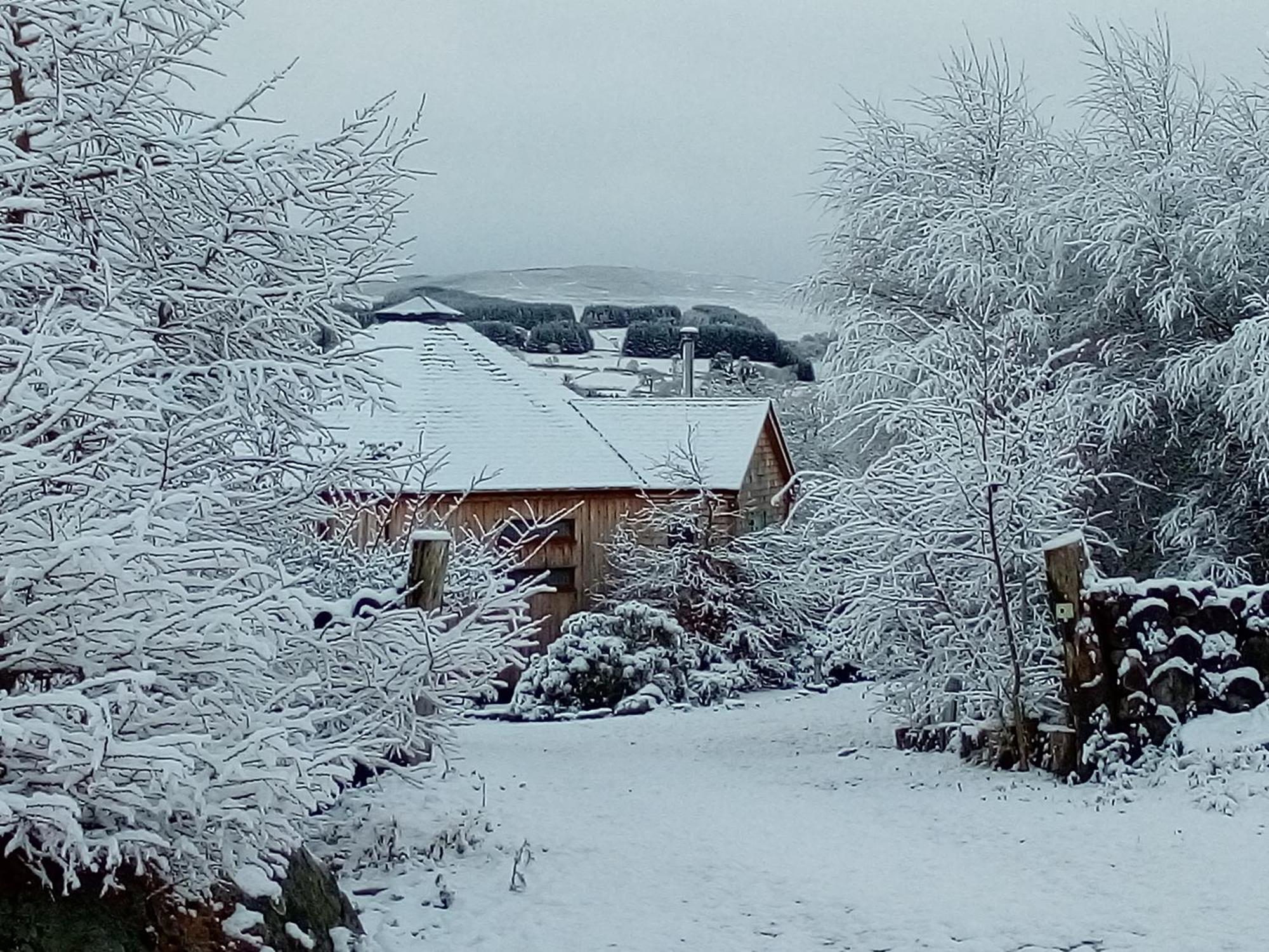 Dalnoid Cottages & Treehouses Nr Glenshee Zewnętrze zdjęcie